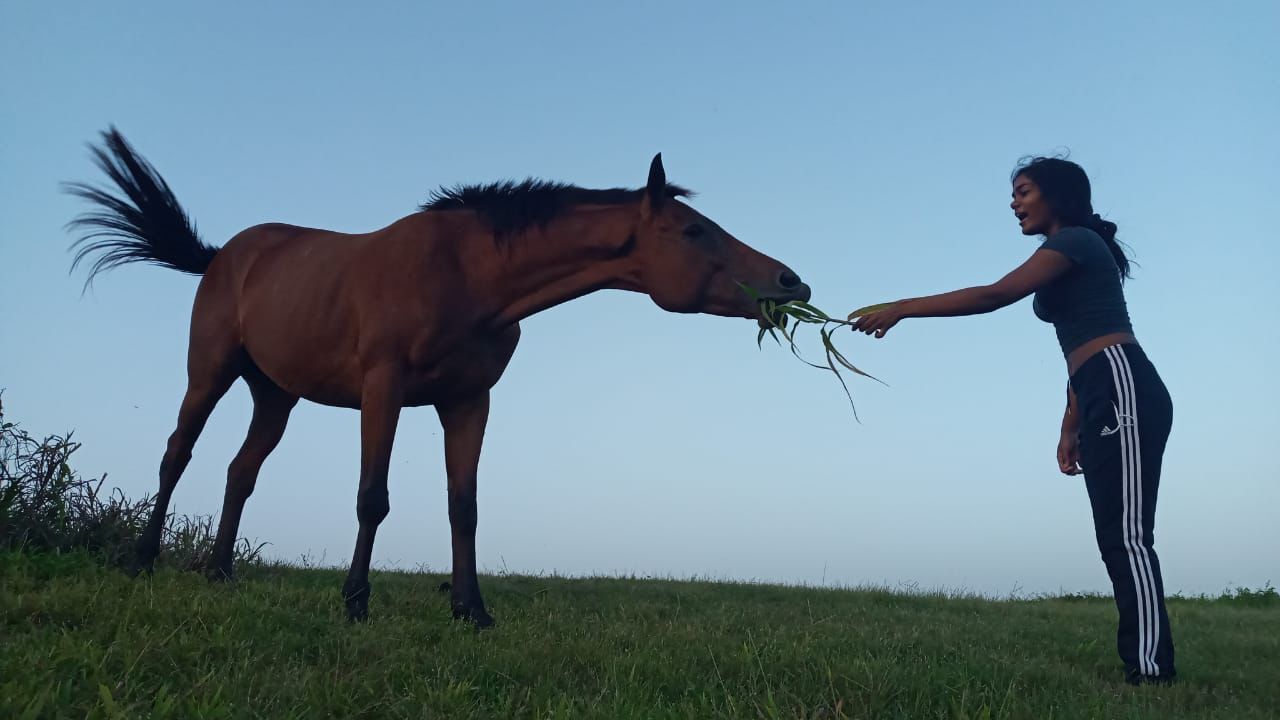 Seraja Charan užmezga ryšį su laukiniu arkliu, gyvenančiu Savana Grande.jpg